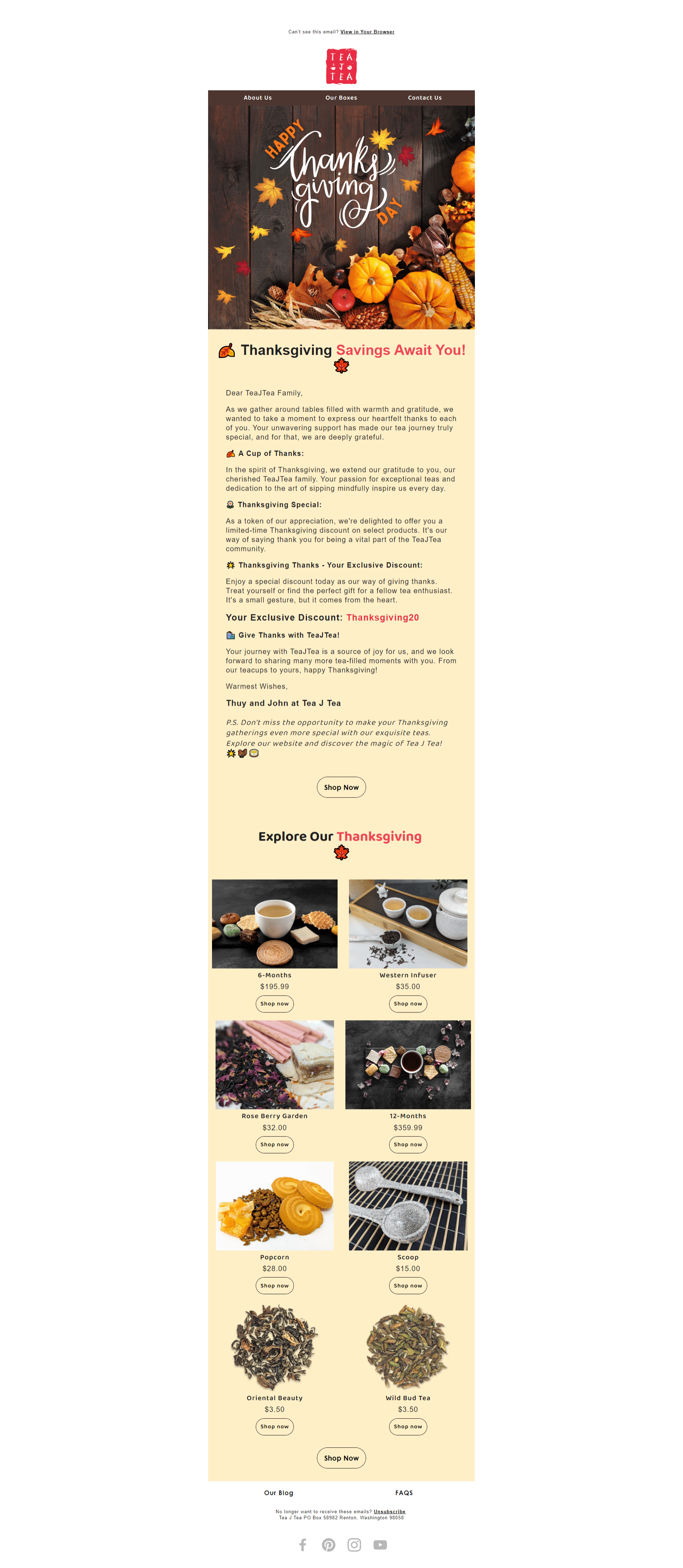 Tea Brand Email Marketing Klaviyo Project - Thanksgiving campaign